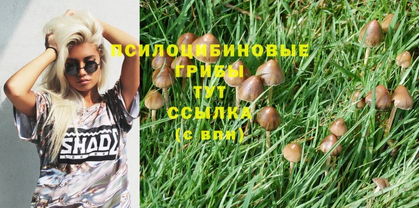 ГАЛЛЮЦИНОГЕННЫЕ ГРИБЫ Балахна