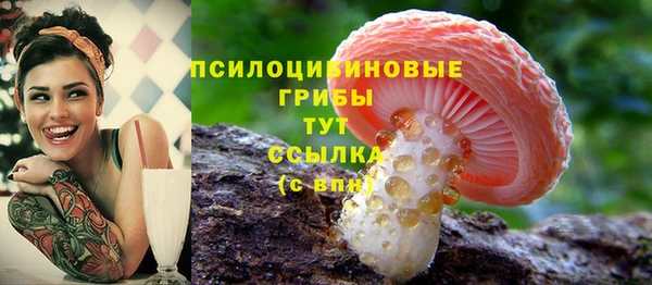 ГАЛЛЮЦИНОГЕННЫЕ ГРИБЫ Балахна