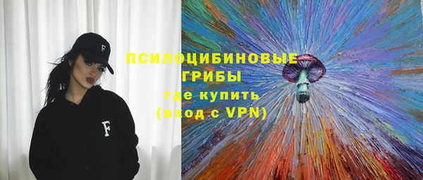 ГАЛЛЮЦИНОГЕННЫЕ ГРИБЫ Балахна