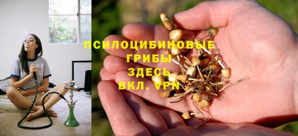 ГАЛЛЮЦИНОГЕННЫЕ ГРИБЫ Балахна